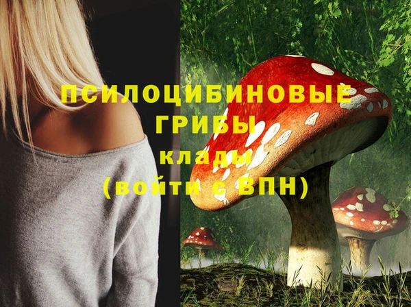 СК Богородицк