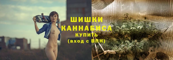 стафф Богородск