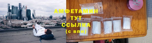 соль ск Богданович