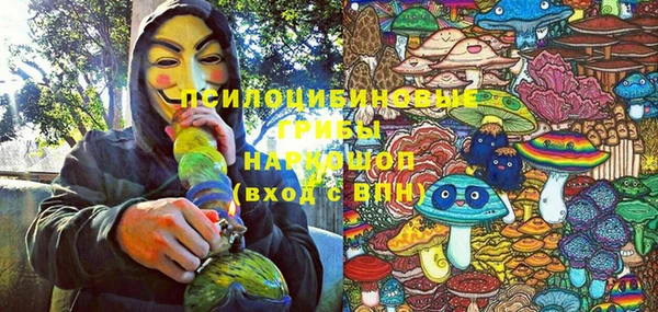 соль ск Богданович