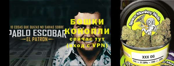 соль ск Богданович