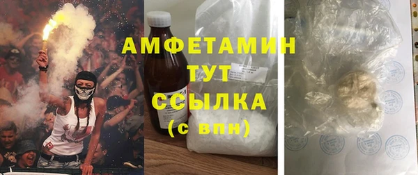 соль ск Богданович